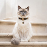 Midnight Clover Cat Collar with Black Floral Details and Crystal Pendant