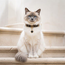 Midnight Clover Cat Collar with Black Floral Details and Crystal Pendant