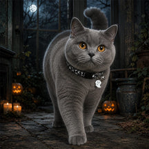 Moonlit Ghost Cat Collar with Silver Bell and Halloween Charm