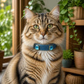 Icy Ocean Cat Collar with Aqua Crystal Details