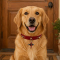 Crimson Flame Dog Collar with Gold Spikes and Jeweled Cross Charm