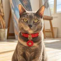 Scarlet Star Cat Collar with Gold-Tone Emblems and Round Medallion