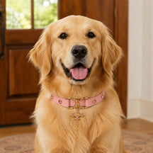 Blush Radiance Dog Collar with Pink Crystals and Gold Cross Charm