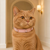 Rose Jewel Cat Collar with Halo-Framed Pink Crystals