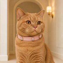 Rose Jewel Cat Collar with Halo-Framed Pink Crystals