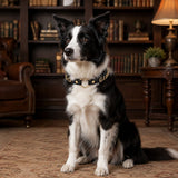 Golden Heart “GOOD GIRL” Dog Collar