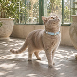 Icy Ocean Cat Collar with Aurora Crystal Details