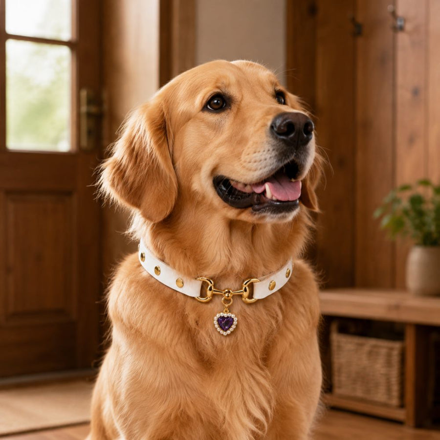 Amethyst Heart White Dog Collar with Gold-Tone Hardware and Pearl Halo Charm