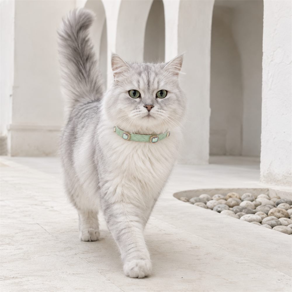Mint Prism Cat Collar with Aurora Crystal Details