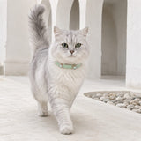 Mint Prism Cat Collar with Aurora Crystal Details