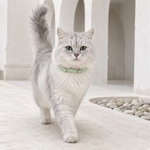 Mint Prism Cat Collar with Aurora Crystal Details