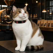Blood Moon Cat Collar with Halo-Framed Ruby Crystals