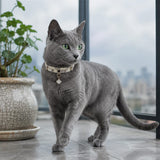 Moonlit Clover Cat Collar with Iridescent Gold Detail