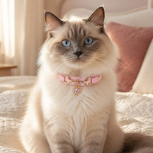 Blush Wish Cat Collar with Sparkling Heart Pendant