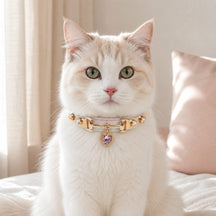 Prismatic Heart Cat Collar with Pink Crystal Pendant