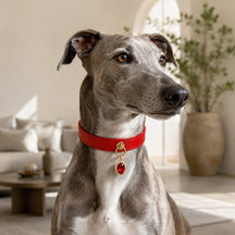 Crimson Jewel Dog Collar with Oval Crystal Pendant