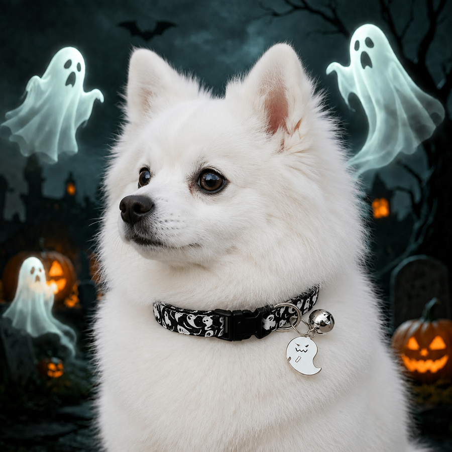 Ghost Parade Dog Collar with Halloween Print, Bell and Charm