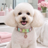 Prismatic Scale Dog Collar with Pink Crystals and Heart Charm