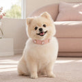 Blush Crystal Dog Collar with Pink Gemstone Accents