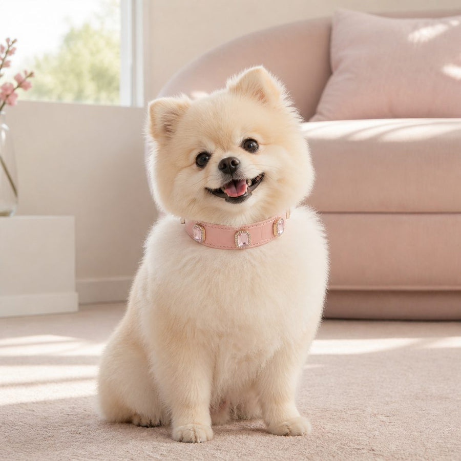Blush Crystal Dog Collar with Pink Gemstone Accents
