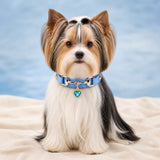 Azure Heart Dog Collar with Gold-Tone Bit and Blue Crystal Charm