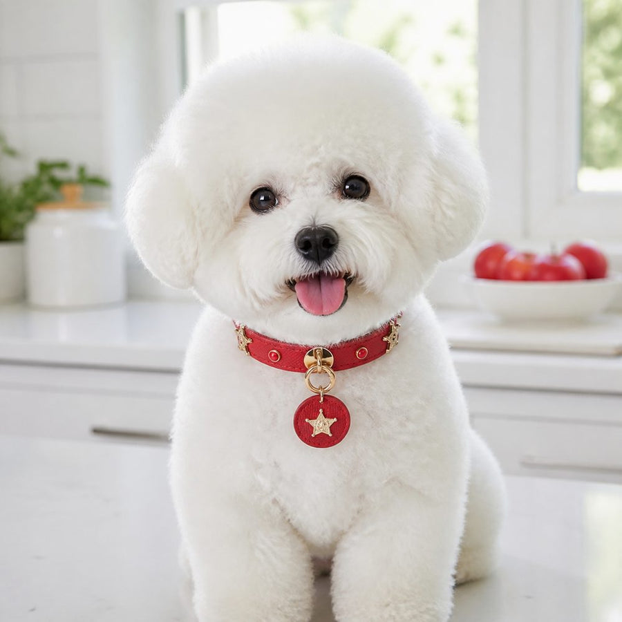 Crimson Guardian Dog Collar with Gold Rings and Sheriff-Star Medallion