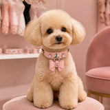 Blush Blossom Dog Collar with Bow and Iridescent Floral Crystals