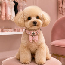 Blush Blossom Dog Collar with Bow and Iridescent Floral Crystals