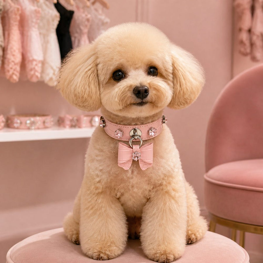 Blush Blossom Dog Collar with Bow and Iridescent Floral Crystals
