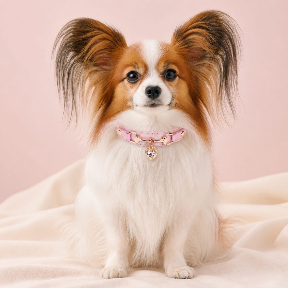 Peach Heart Dog Collar with Gold-Tone Hardware and Crystal Charm