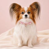 Peach Heart Dog Collar with Gold-Tone Hardware and Crystal Charm