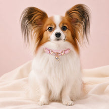 Peach Heart Dog Collar with Gold-Tone Hardware and Crystal Charm