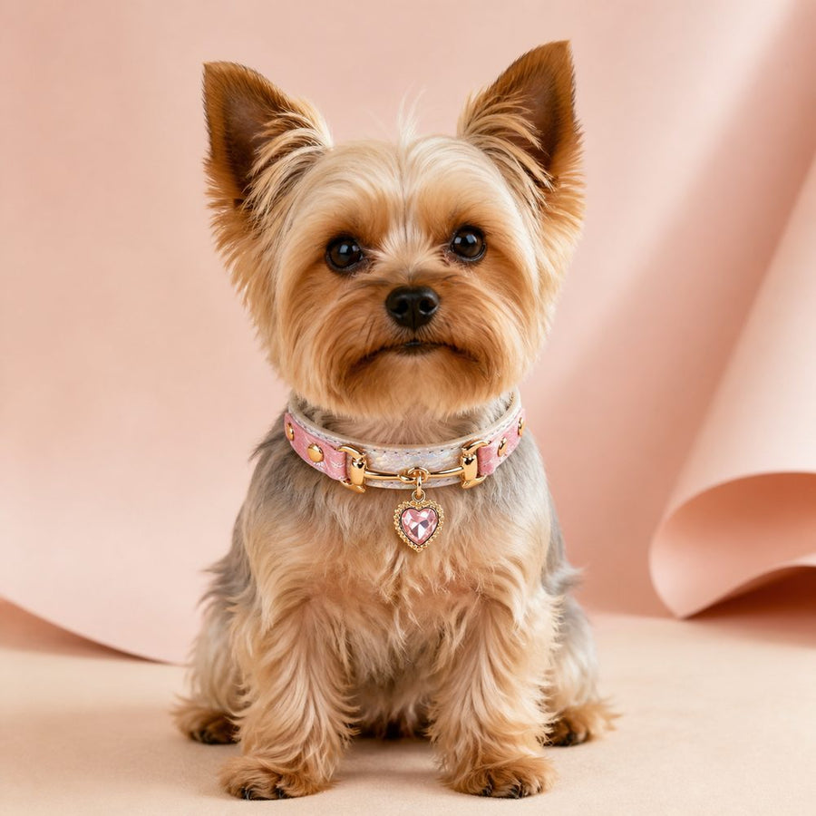 Blush Prism Dog Collar with Pink Crystal Heart Charm