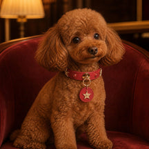 Crimson Guardian Dog Collar with Gold Rings and Sheriff-Star Medallion