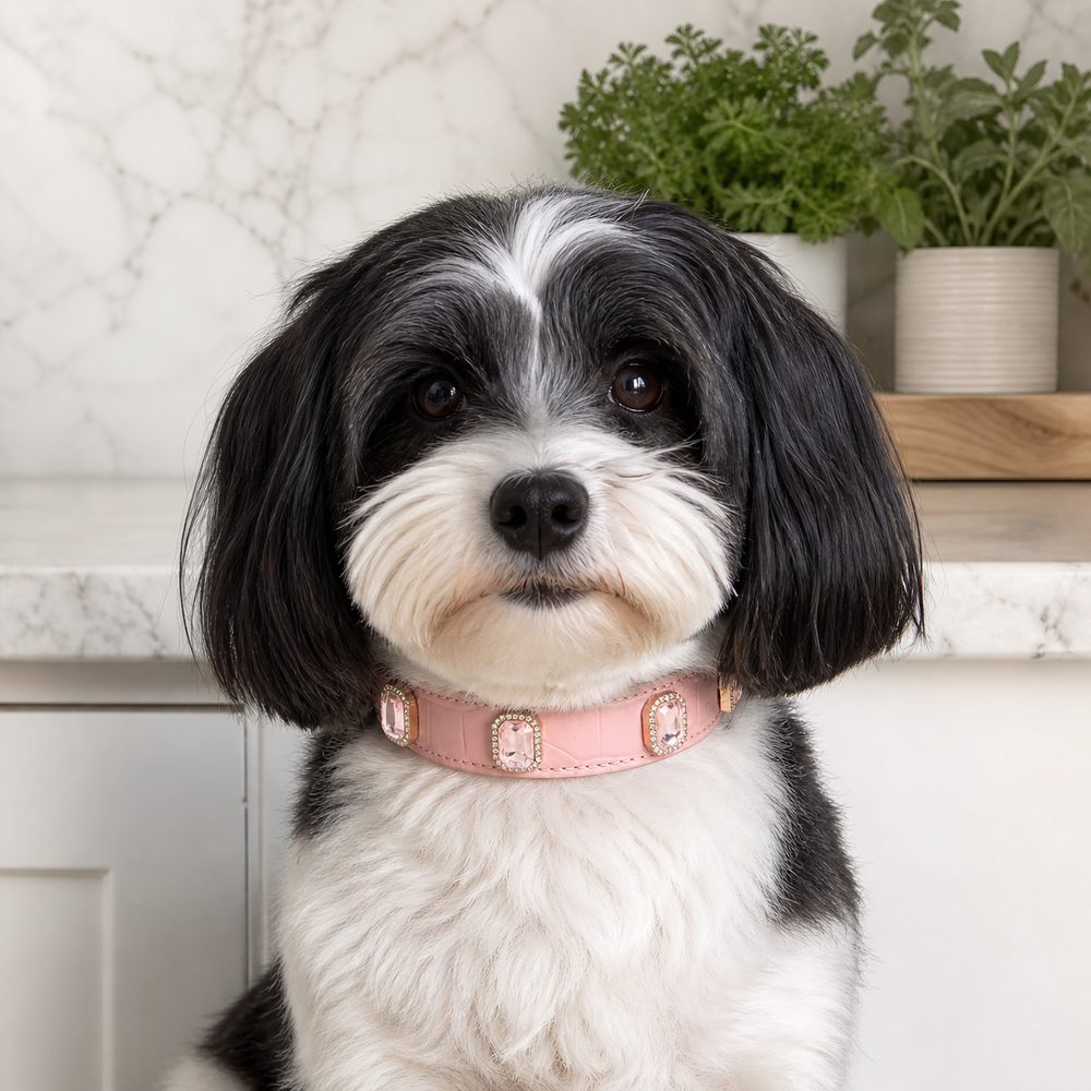 Blush Crystal Dog Collar with Pink Gemstone Accents