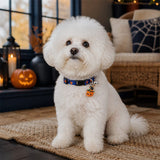 Magic Pumpkin Dog Collar with Halloween Print and Bell Charm