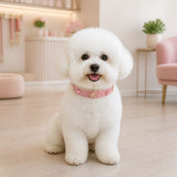Blush Sheriff Star Dog Collar with Pink Cat-Eye Accents
