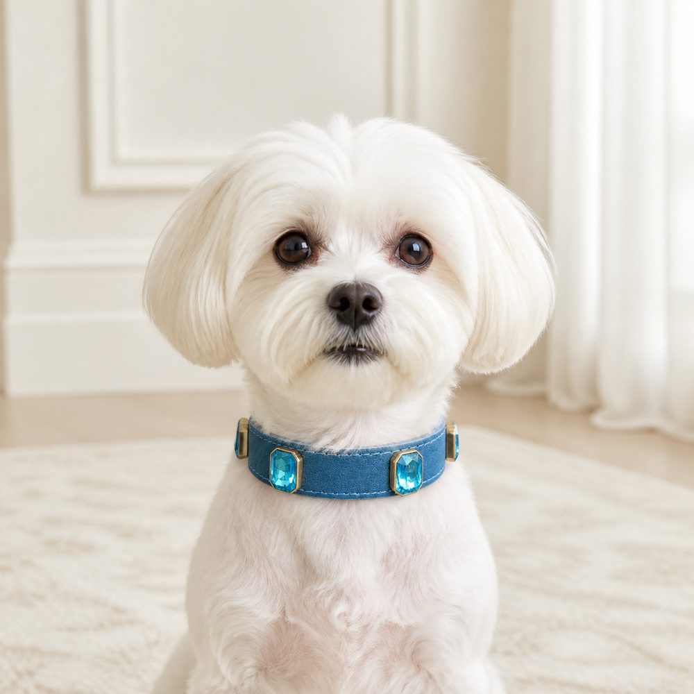 Ocean Crystal Dog Collar with Mist-Blue Finish and Aqua Gem Accents