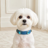Ocean Crystal Dog Collar with Mist-Blue Finish and Aqua Gem Accents