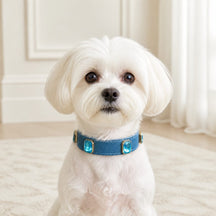 Ocean Crystal Dog Collar with Mist-Blue Finish and Aqua Gem Accents
