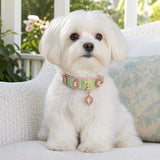 Prismatic Scale Dog Collar with Pink Crystals and Heart Charm