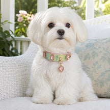 Prismatic Scale Dog Collar with Pink Crystals and Heart Charm