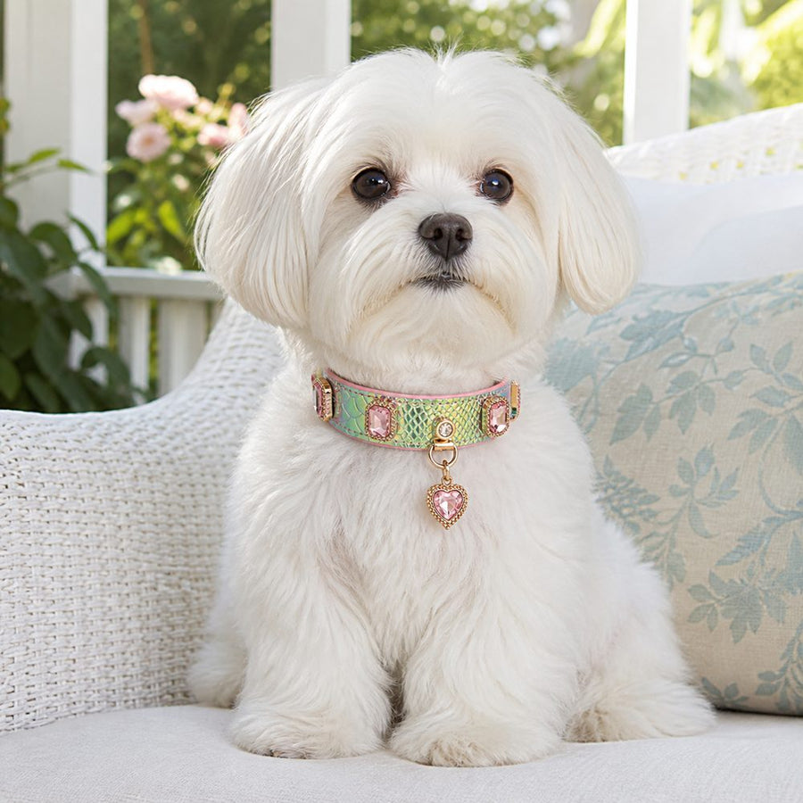 Prismatic Scale Dog Collar with Pink Crystals and Heart Charm