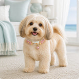 Blush Prism Dog Collar with Pink Crystal Heart Charm