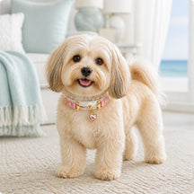 Blush Prism Dog Collar with Pink Crystal Heart Charm