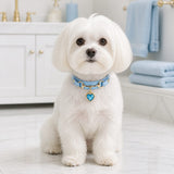 Azure Heart Dog Collar with Gold-Tone Bit and Blue Crystal Charm