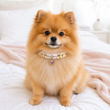 Rainbow Stitch White Dog Collar with Pink Crystal Heart Charm