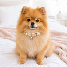 Rainbow Stitch White Dog Collar with Pink Crystal Heart Charm