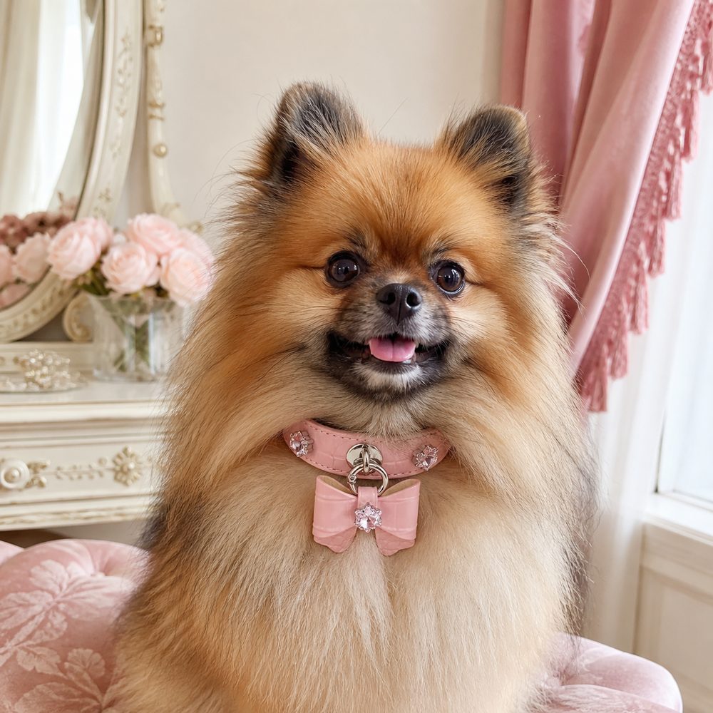 Blush Blossom Dog Collar with Bow and Iridescent Floral Crystals