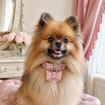 Blush Blossom Dog Collar with Bow and Iridescent Floral Crystals